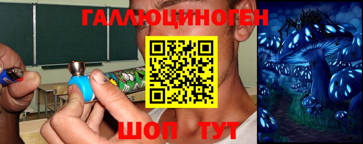 Кинель  купить наркотики сайты  Вход с VPN  Галлюциногенные грибы MAGIC MUSHROOMS  Галлюциногенные грибы Magic Shrooms 