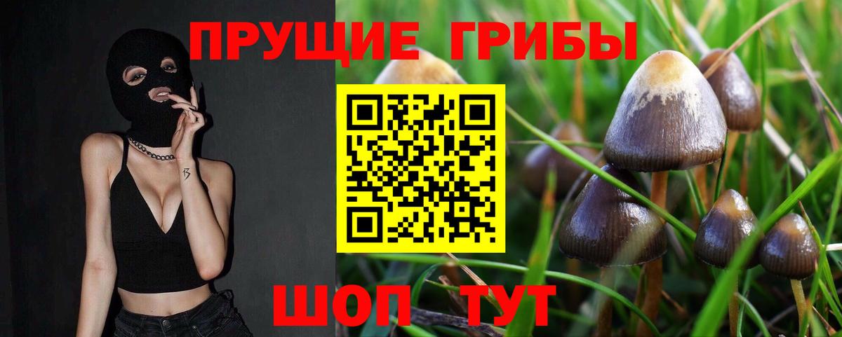Галлюциногенные грибы мухоморы Кинель
